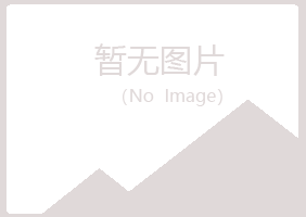 文山州新波能源有限公司